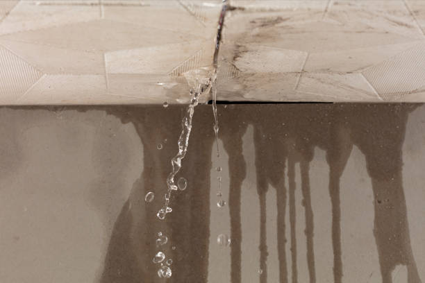 Professional Structural Drying technician working in Burlington, IA